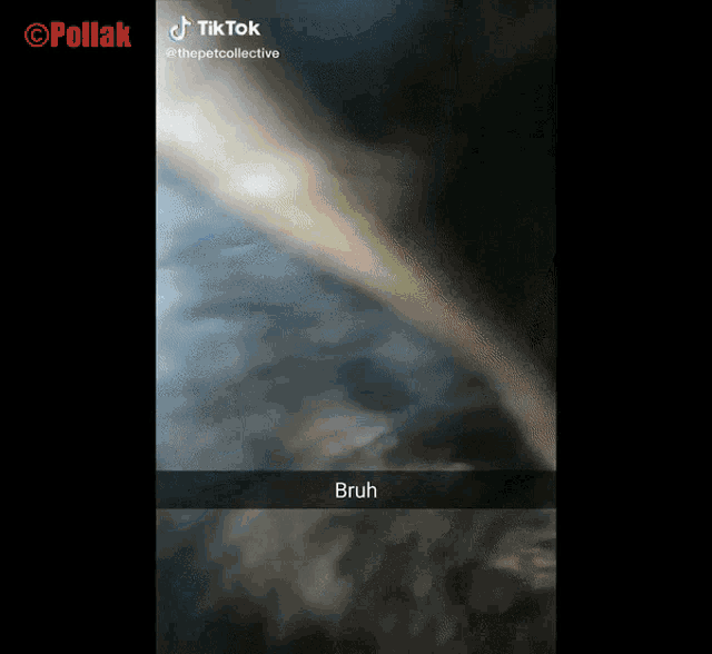 a screenshot of a tiktok video with bruh written in the corner