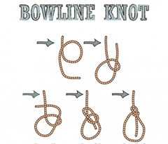 a diagram showing how to tie a bowline knot with arrows pointing in different directions