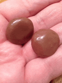 a person is holding two chocolate covered balls in their hand