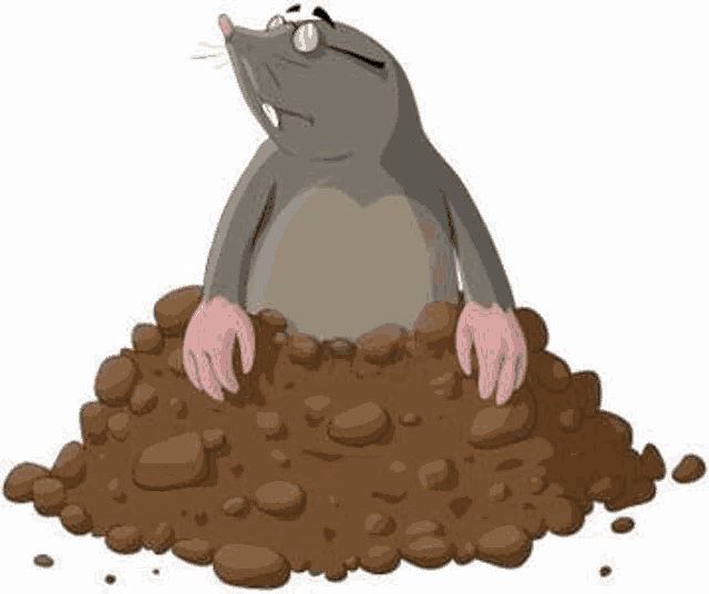 a cartoon mole is coming out of a hole in the ground .