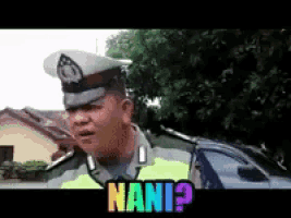 a pixelated image of a police officer with the word nani written below him