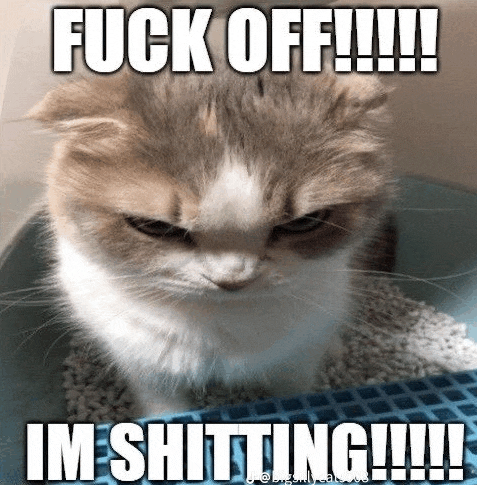 an angry cat is sitting in a litter box with the words fuck off im shitting