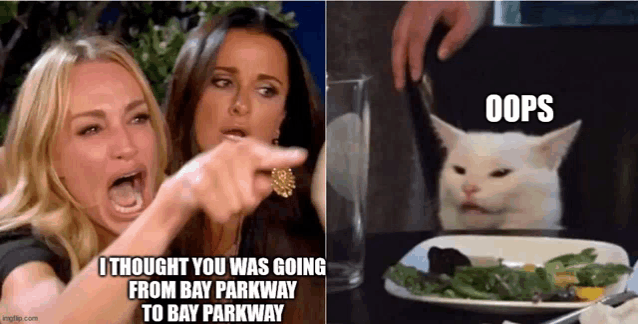 two women are sitting at a table with a plate of food and a cat is pointing at them .