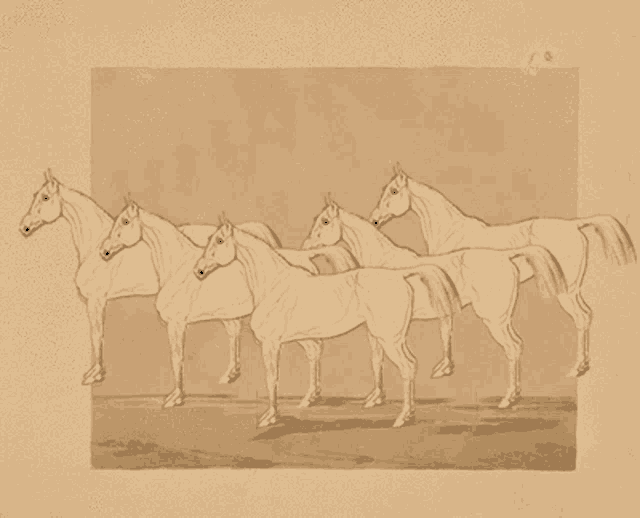 a drawing of four horses standing next to each other on a brown background