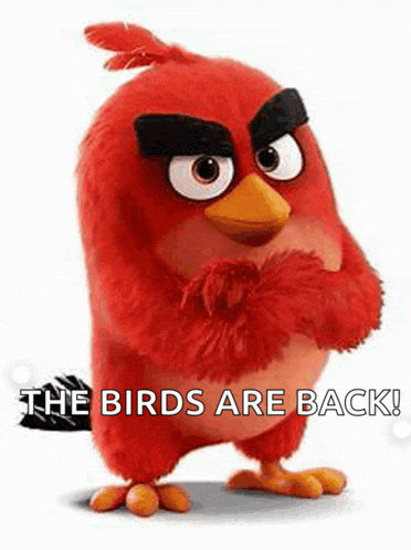 a red angry bird from the angry birds movie is standing with its arms crossed and says `` the birds are back ! ''