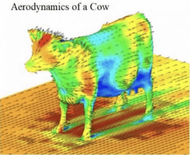 a drawing of a cow with the words " aerodynamics of a cow " below it