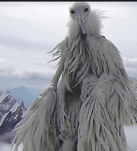 a white bird with a long beak is standing in the snow with mountains in the background