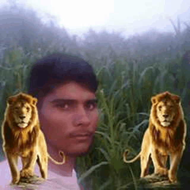 a man is standing in a field with two lions behind him .