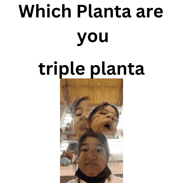 a picture of a girl with the words " which planta are you triple planta "