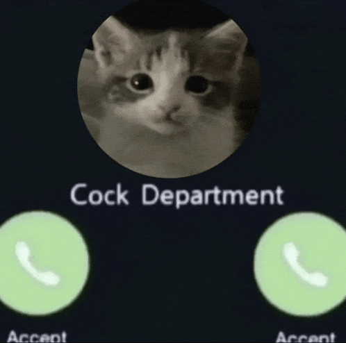 a picture of a cat with the words cock department written above it