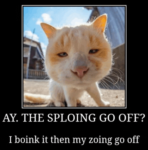 a picture of a cat with a caption that says " the sploing go off "