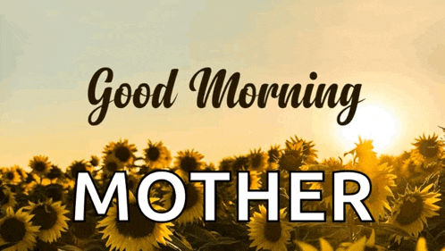 a field of sunflowers with the words `` good morning mother '' on it