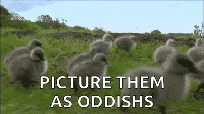 a group of ducklings are walking in a field with the words `` picture them as oddishes '' written above them .