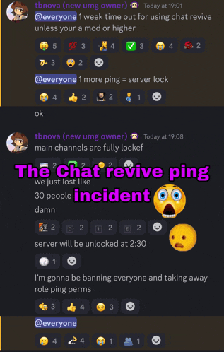 a screenshot of a chat with the words " the chat revive ping incident " at the top