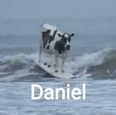 a cow is riding a wave on a surfboard in the ocean next to the name daniel .