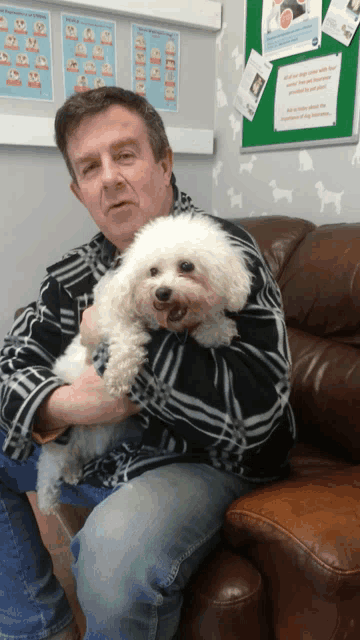 a man holds a small white dog in his lap