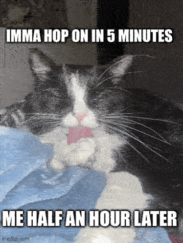 a black and white cat is laying on a bed with a caption that says imma hop on in 5 minutes me half an hour later