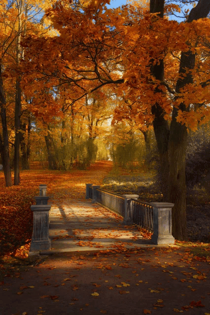 a bridge in a park surrounded by trees with orange leaves