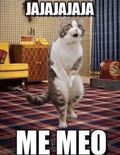 a cat is standing on its hind legs in a living room with a meme .