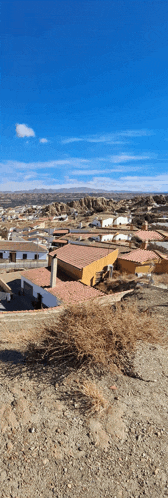 a view of a residential area with a blue sky