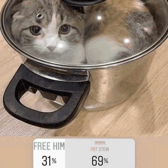 a cat is sitting in a pot with a glass lid on top .