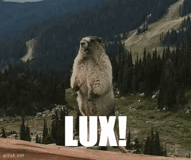 a marmot is standing on its hind legs in front of a mountain and the word lux is on the ground