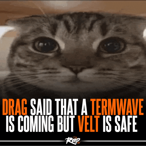 drag said that a termwave is coming but vet is safe