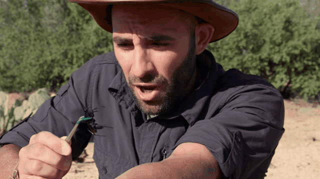 a man with a beard wearing a hat is holding a bug in his hand