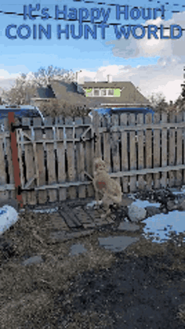 a dog standing in front of a wooden fence with the words " it 's happy hour coin hunt world " on the bottom