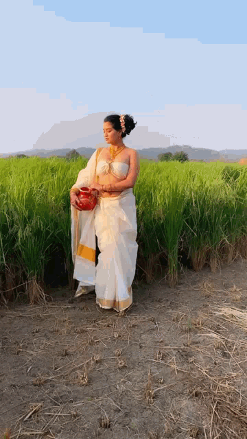 a woman in a white and gold saree is standing in a field of tall grass holding a pot .