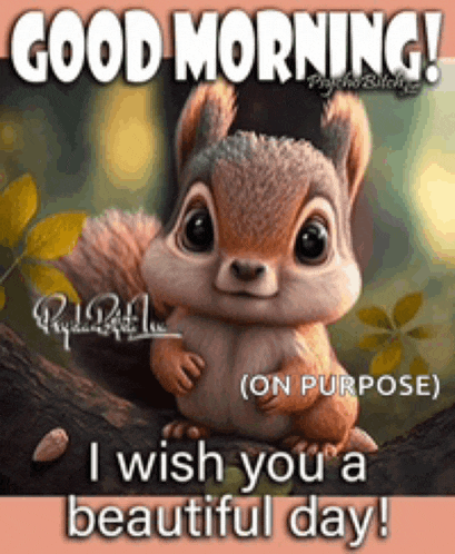 a squirrel is sitting on a tree branch and says good morning