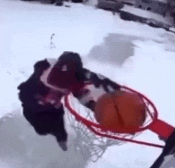 a dog is playing basketball in the snow with a basketball in a hoop .