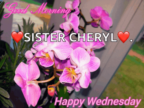 a good morning sister cheryl happy wednesday greeting card