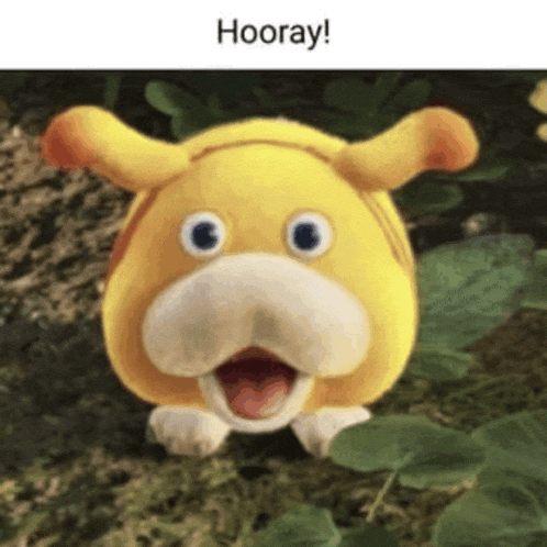 a picture of a stuffed animal that says hooray on it