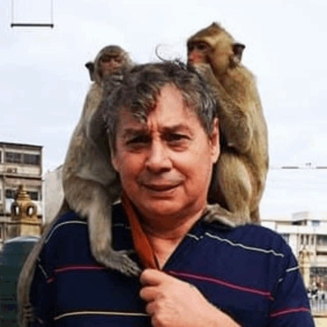 a man with two monkeys on his shoulders is holding a scarf .