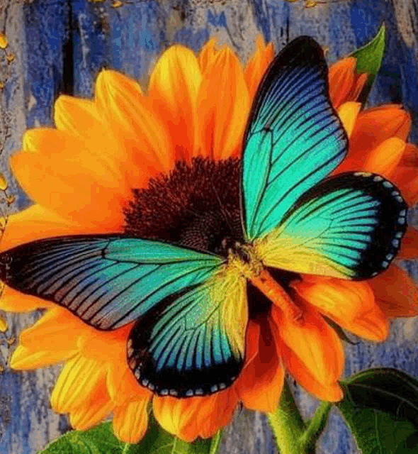 a colorful butterfly is sitting on a sunflower .