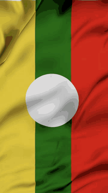 a yellow green and red flag with a white circle in the center