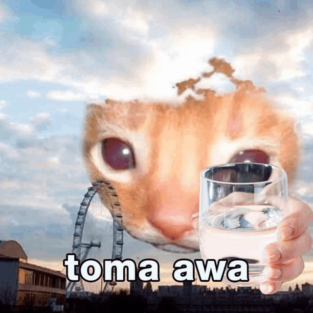 a cat is holding a glass of water in front of a ferris wheel that says toma awa