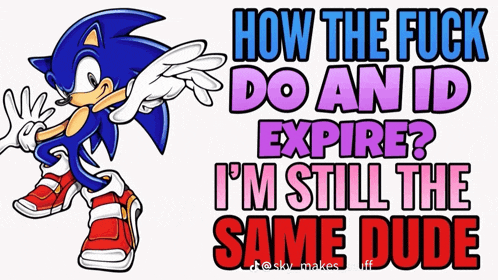 a picture of sonic the hedgehog with the caption how the fuck do an id expire