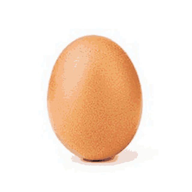 a brown egg is sitting on a white background .