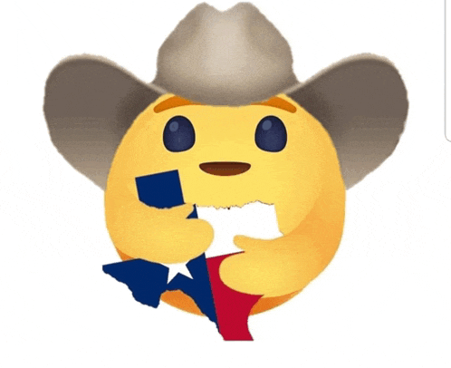 a smiley face wearing a cowboy hat is holding a texas flag