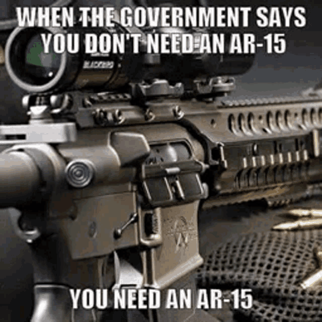 when the government says you don 't need an ar-15 , you need an ar-15 .