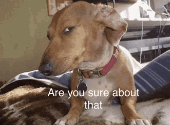 a dachshund laying on a bed with the words " are you sure about that " on the bottom