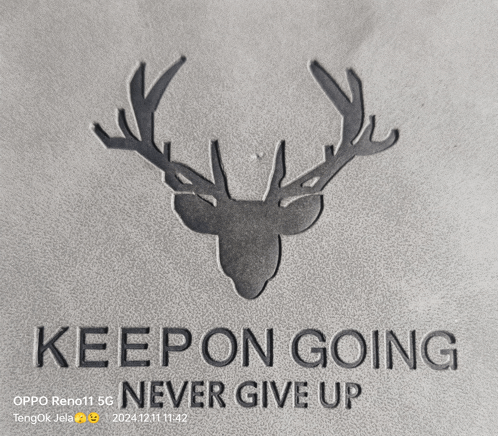 a picture of a deer head with antlers and the words keep on going never give up