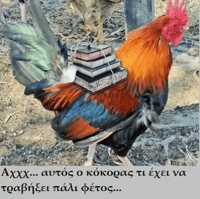 a rooster is carrying a stack of books on its back .