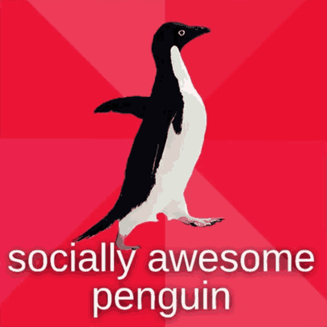 a penguin on a red background with the words socially awesome penguin