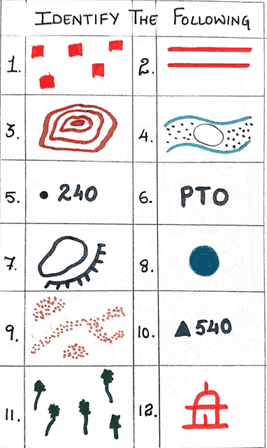 a sheet of paper that says identify the following on top