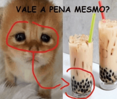 a picture of a cat next to a picture of a drink with the words vale a pena mesmo