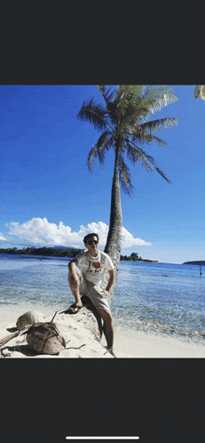 a man wearing a shirt that says ' hawaii ' on it leans against a palm tree on a beach