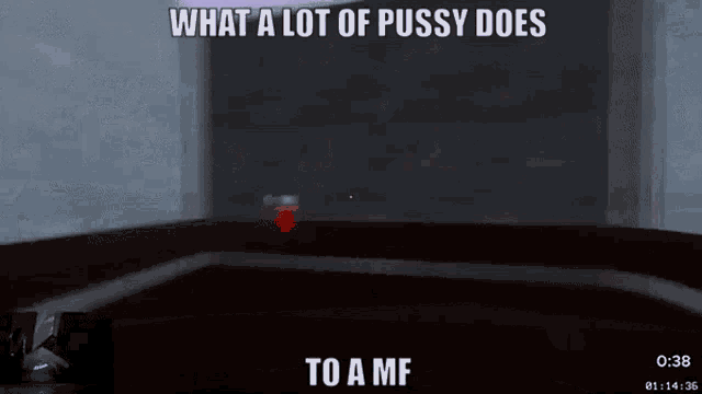 a screenshot of a video game with the words what a lot of pussy does to a mf